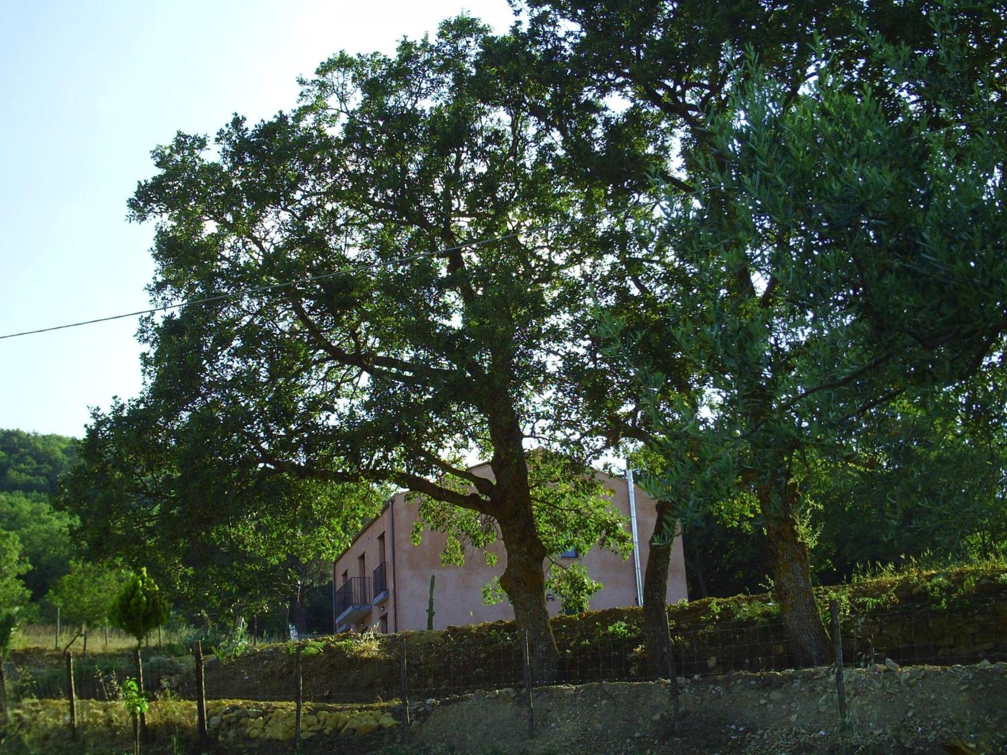 Agriturismo San Pietro Gangi Exteriér fotografie