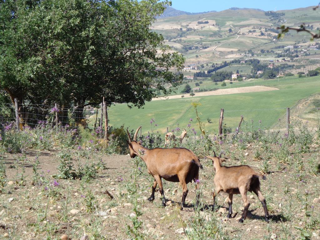 Agriturismo San Pietro Gangi Exteriér fotografie